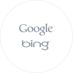 Sef translate Google and Bing Translation Api